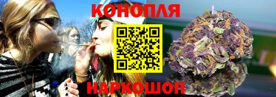 прущие грибы Партизанск